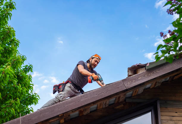 Best Roof Ventilation Installation  in Joseph City, AZ