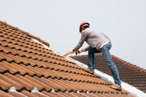 Best Hot Roofs  in Joseph City, AZ